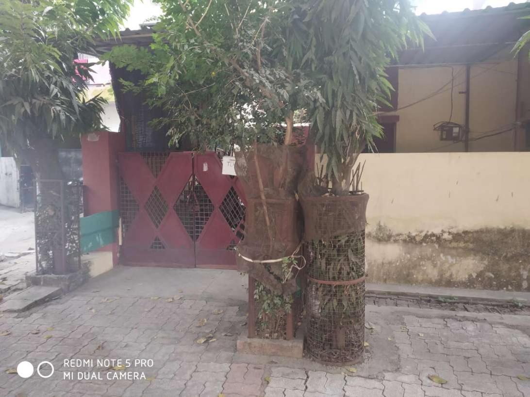 Homestay Nirmal House